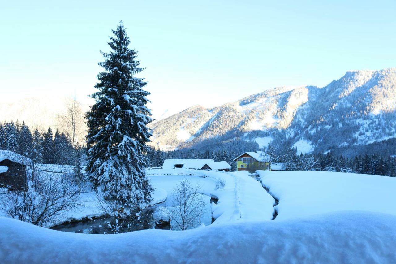 Ferienhaus Am Muehlbach Gams bei Hieflau エクステリア 写真