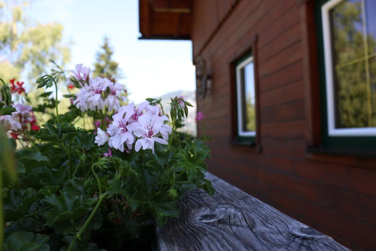 Ferienhaus Am Muehlbach Gams bei Hieflau エクステリア 写真